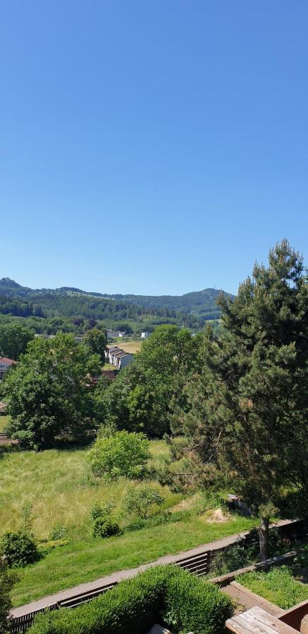 Penzion Na Vysluni Ceske Svycarsko Jiřetín pod Jedlovou Esterno foto