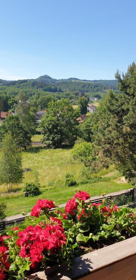 Penzion Na Vysluni Ceske Svycarsko Jiřetín pod Jedlovou Esterno foto