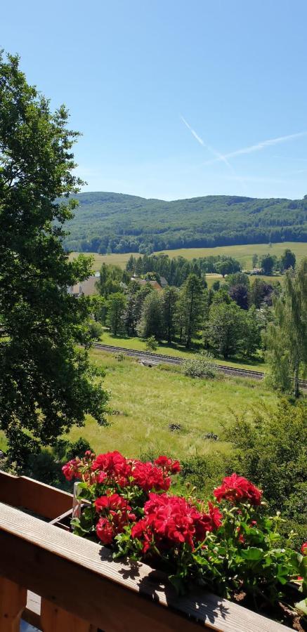 Penzion Na Vysluni Ceske Svycarsko Jiřetín pod Jedlovou Esterno foto