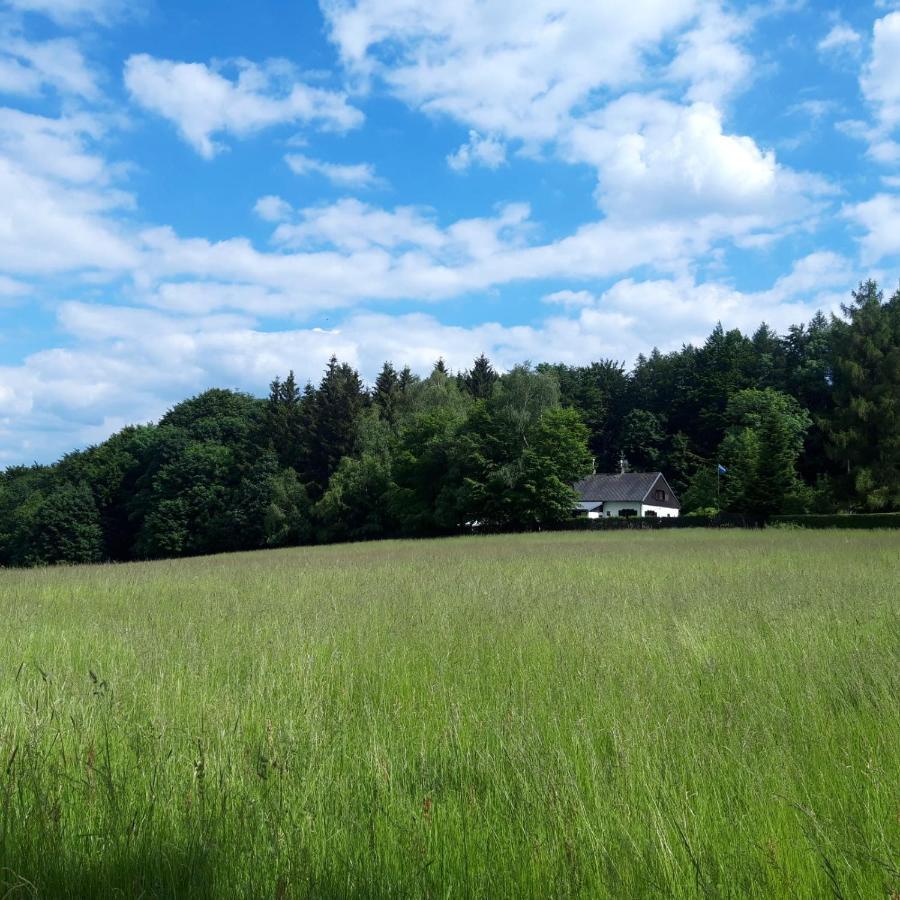 Penzion Na Vysluni Ceske Svycarsko Jiřetín pod Jedlovou Esterno foto